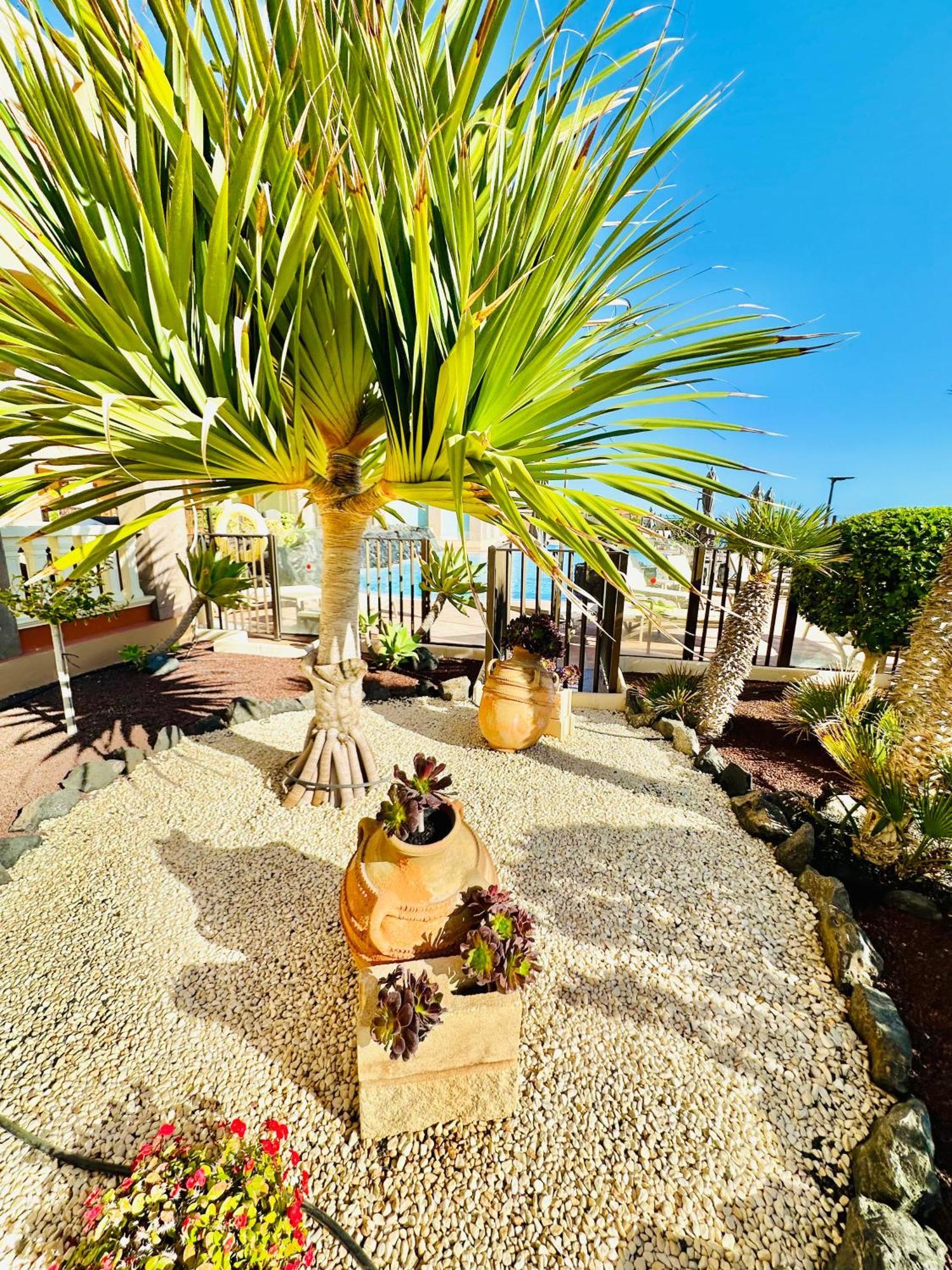 El Nautico Apartment Σαν Μιγκέλ ντε Αμπόνα Εξωτερικό φωτογραφία
