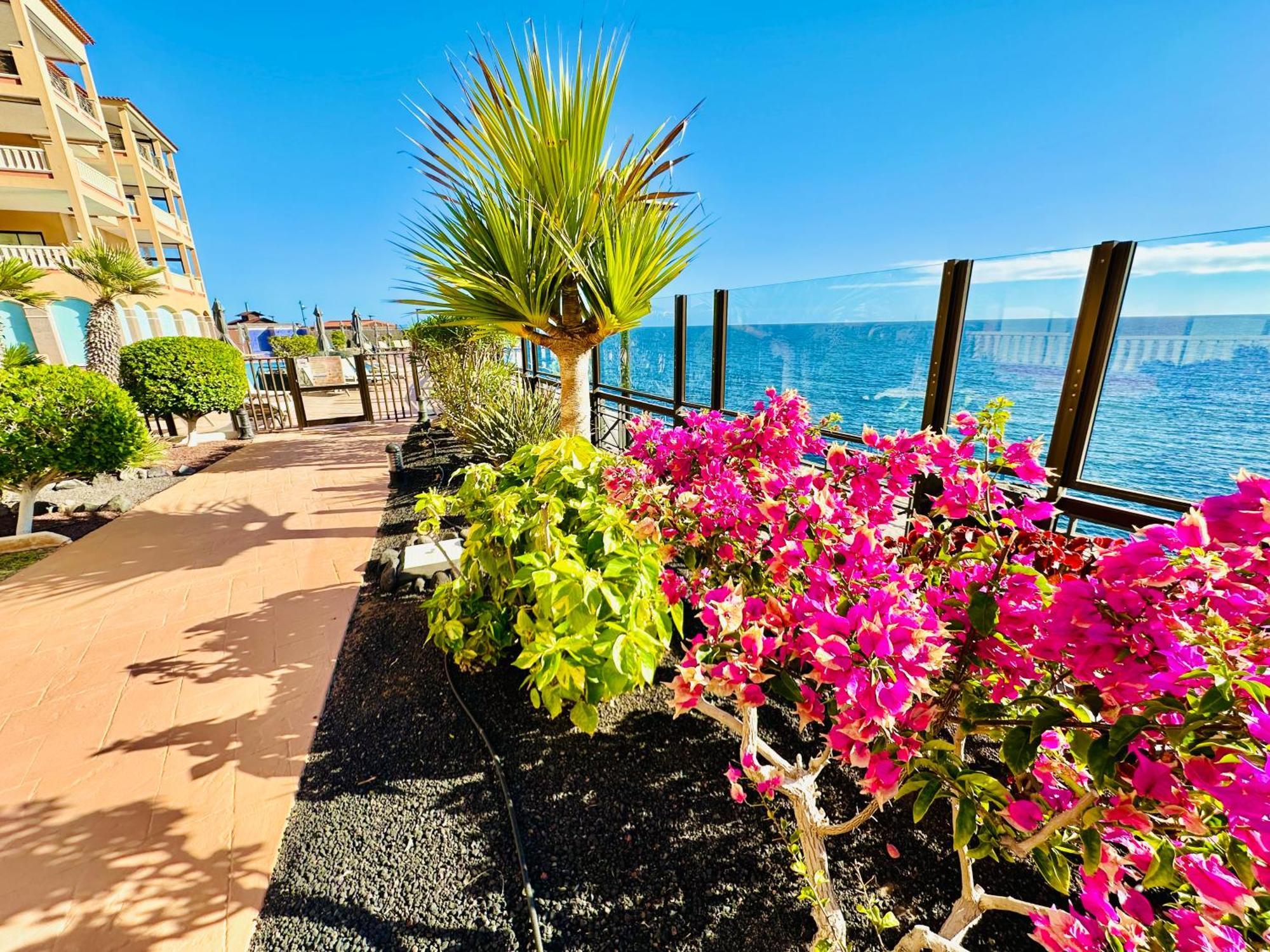 El Nautico Apartment Σαν Μιγκέλ ντε Αμπόνα Εξωτερικό φωτογραφία